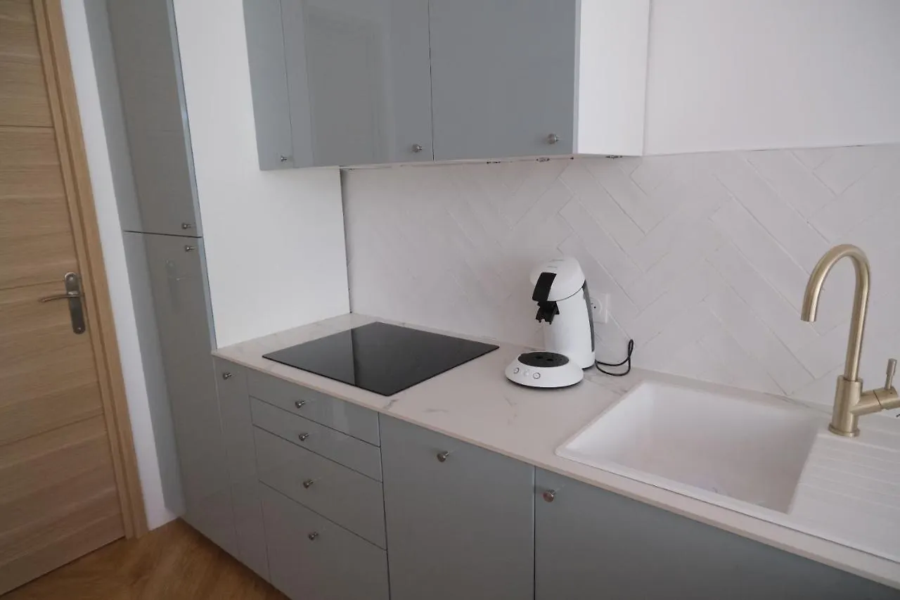Appartement De Beau Standing Lyon 0*,